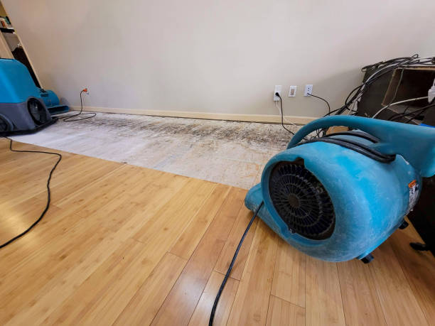 Professional Emergency Water Damage technician working in Mapleville, RI